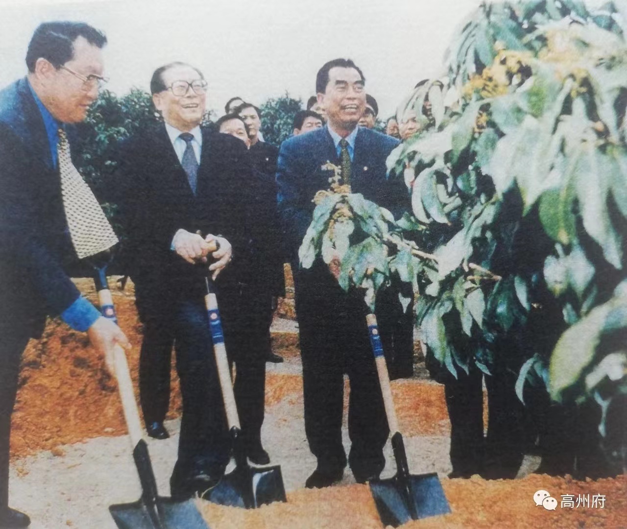 ob.com电保-中国荔枝博物馆智慧用电改造